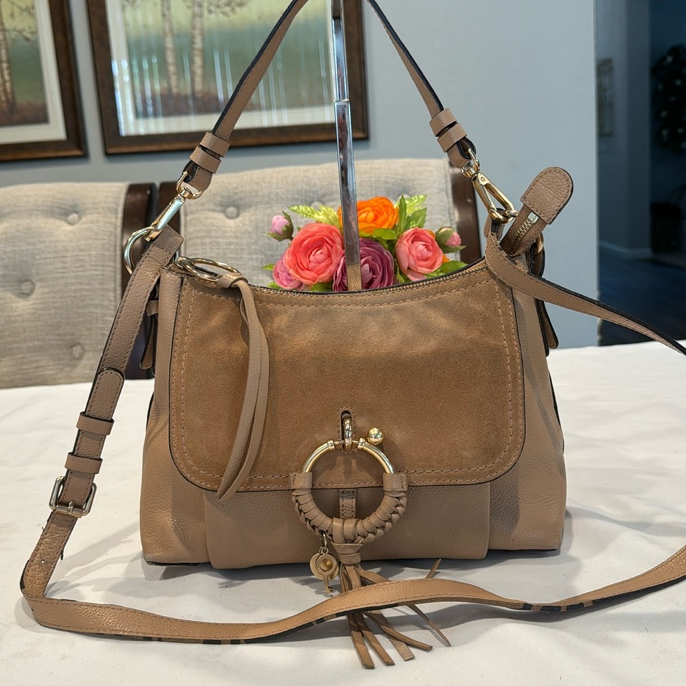 Authentic See by Chloe bag